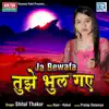 Shital Thakor - Ja Bewafa Tujhe Bhul Gaye (Original) - Single